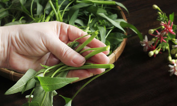 Nên vặn, ngắt hay thái rau muống khi nấu?