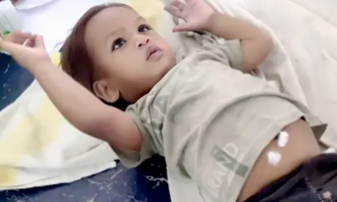 One-year-old bites cobra to death
