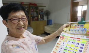 Elderly individuals living alone but not lonely