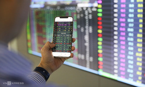 Vietnam's stock market needs to attract institutional investors