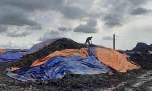 Director prosecuted for illegal waste dumping