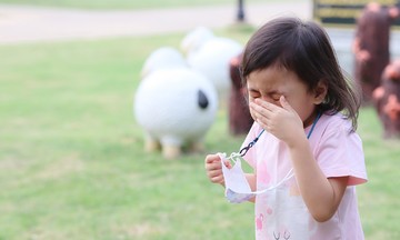 Ho gà lây nhiễm thế nào