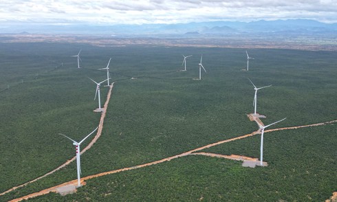 Energy and AI are investment magnets in Vietnam