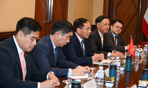 Vietnam offers support for Thailand-Cambodia ceasefire