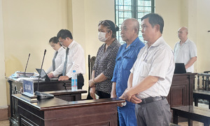 Yêu cầu điều tra thêm lời khai của cựu chủ tịch đậu phộng Tân Tân