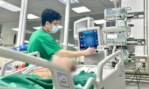 Even healthy adults are at risk of Japanese encephalitis
