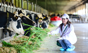 The green cycle at Vinamilk Green Farm's 500-hectare site