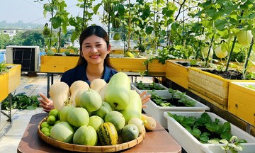 'Trang trại' trên sân thượng của cô gái Đồng Nai