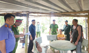 Family members arrested for Phu Quoc airport land fraud