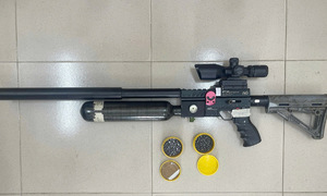Man’s birdshot hits woman in the head