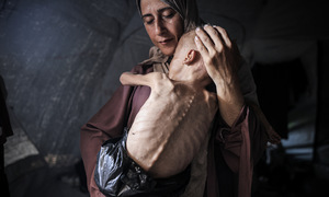 Israel's blockade pushes Gaza to famine