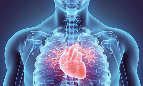 Sudden cardiac arrest: A threat even to the healthy