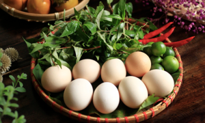 Are brown eggs better than white eggs?