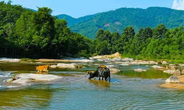 Những điểm tham quan ít người biết ở Nha Trang