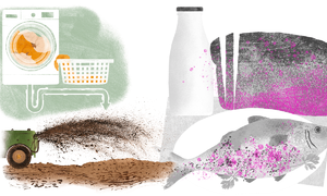 How fast fashion's fibers bring microplastics to our dinner tables