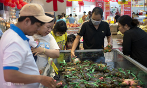 Domestic seafood sales surge in supermarkets