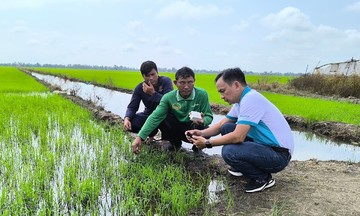 Chuyên gia Phú Mỹ chia sẻ giải pháp tái tạo đất bền vững