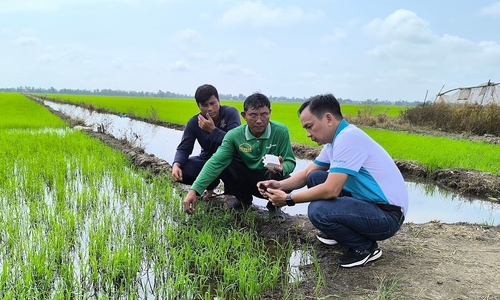 Chuyên gia Phú Mỹ chia sẻ giải pháp tái tạo đất bền vững