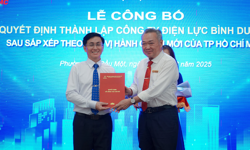 EVNHCMC establishes 9 member power companies