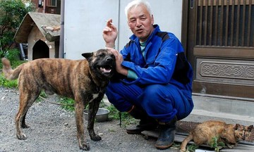 14 năm bám trụ 'vùng đất chết' Fukushima
