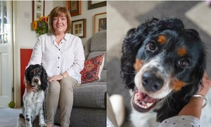 Dog barks for help, saving owner from heart attack