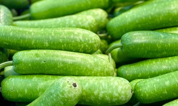 5 món bổ thận nên ăn thường xuyên