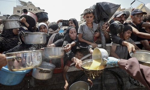 A deadly journey for food in Gaza
