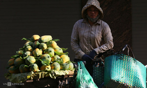 Penalties for street vending: when are they applied?