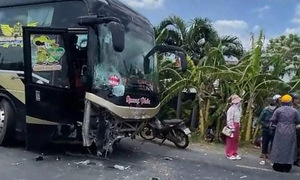 Two killed in bus collision