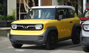 Vinfast dominates small SUV sales