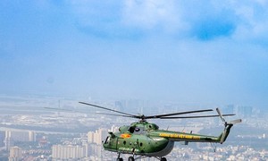Ngo Tran Hai An