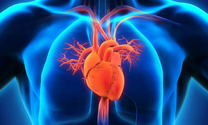 Why seemingly healthy individuals experience sudden cardiac arrest