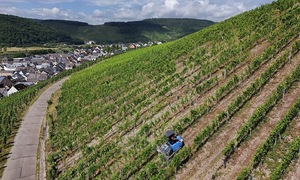 European businesses adapt to new US tariffs