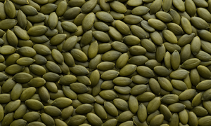 Why pumpkin seeds promote better sleep