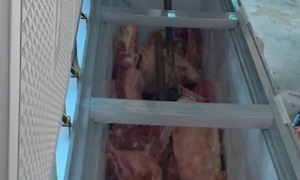 4 arrested for trading african swine fever-infected pork