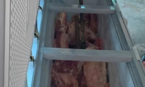 4 arrested for trading african swine fever-infected pork