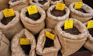 Trump's 50% tariff redirects Brazilian coffee flow