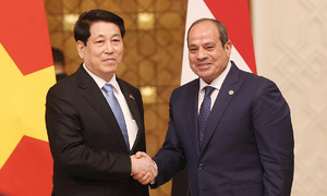Vietnam, Egypt elevate ties to comprehensive partnership