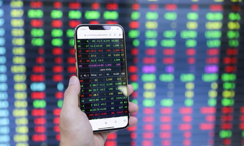Stock market reaches new heights