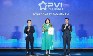 PVI insurance continues to lead the non-life insurance sector