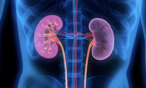 Kidney distress signals easily mistaken for other ailments