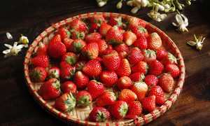5 foods to freshen your breath