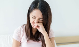 Combating dry nose in summer