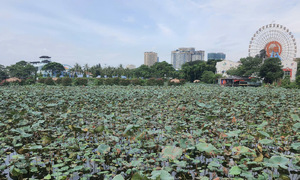 West Lake water replenishment to be completed before September 2