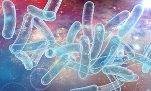 Three die in New York Legionnaires' disease outbreak
