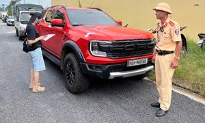 Fake license plate used in red light violation