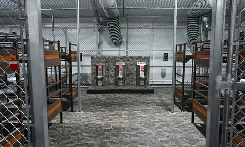 US judge halts construction of 'alcatraz crocodile jail'