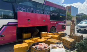 Tainted chicken feet seized en route to Da Nang
