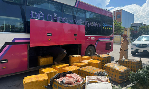 Tainted chicken feet seized en route to Da Nang
