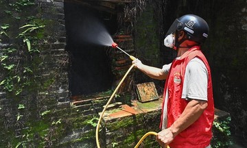 Bệnh Chikungunya có vaccine chưa?